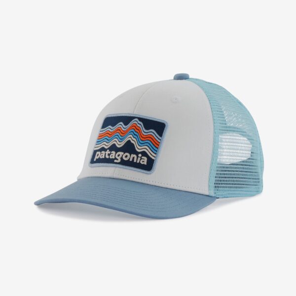 patagonia trucker hat