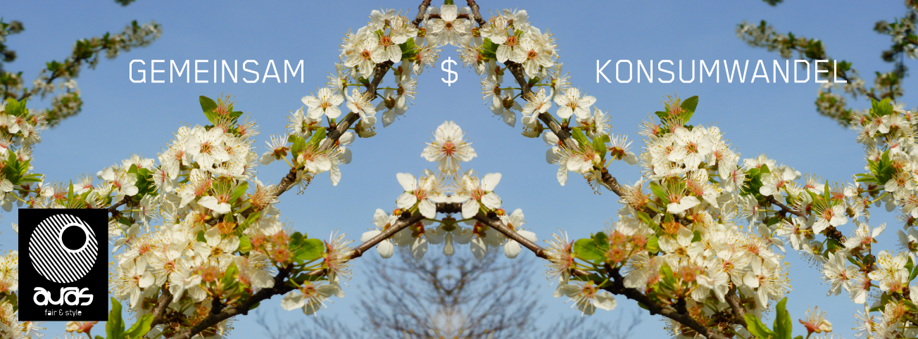 3.22.Banner FRUeHLING MIT TEXT