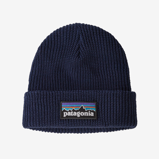 patagonia beanie