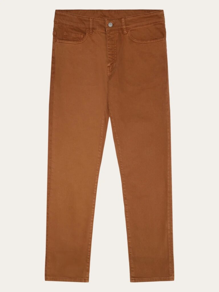 chino dachshund
