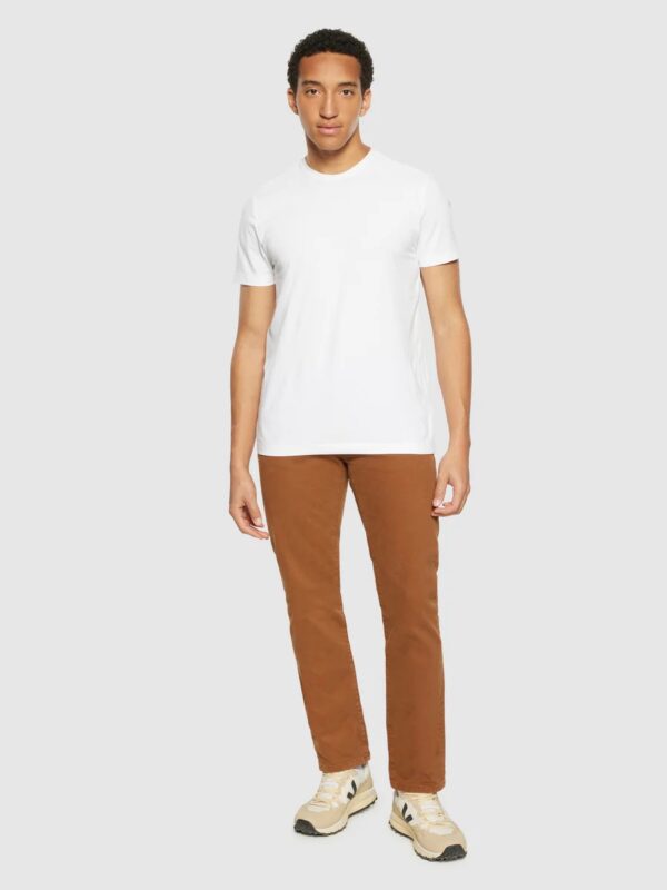 chino dachshund