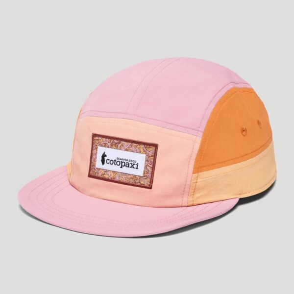 5 panel