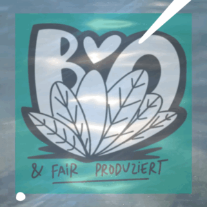Fair Fashion in der Schweiz kaufen 26 auras quadrat bio sommer