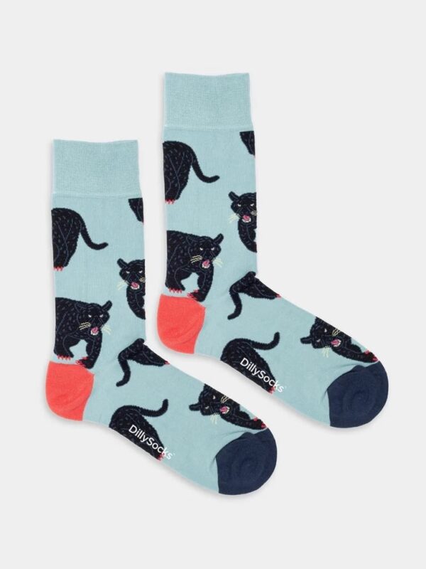 dilly socks